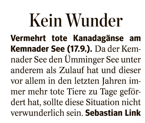 20221002_090339_temp